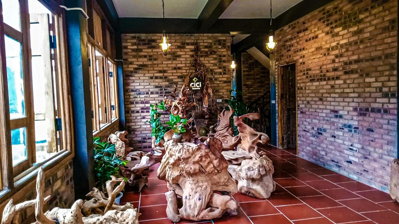 Cici Homestay Dong Van المظهر الخارجي الصورة
